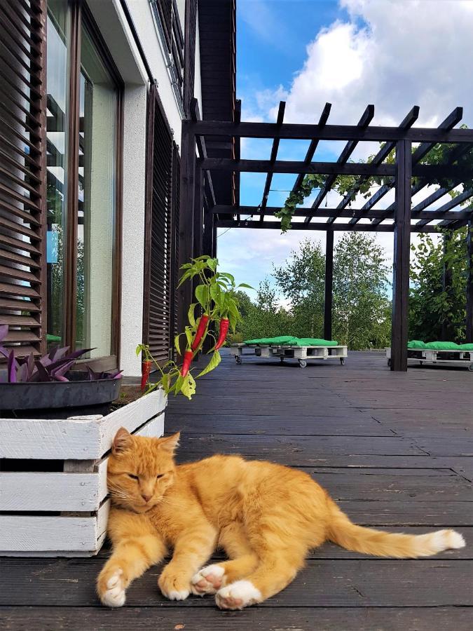 Appartamento Siedlisko Gregorowo Ustka Esterno foto