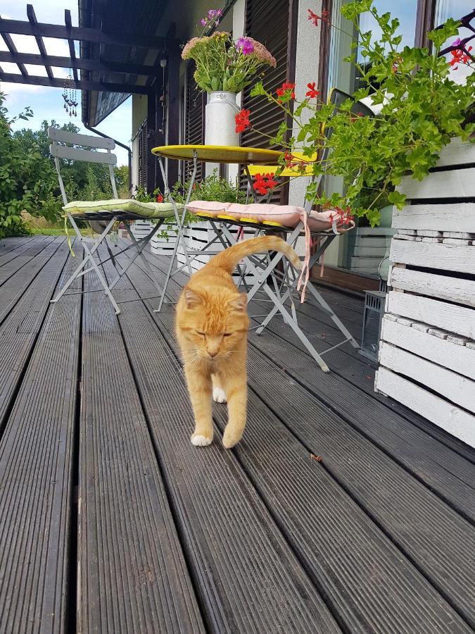 Appartamento Siedlisko Gregorowo Ustka Esterno foto